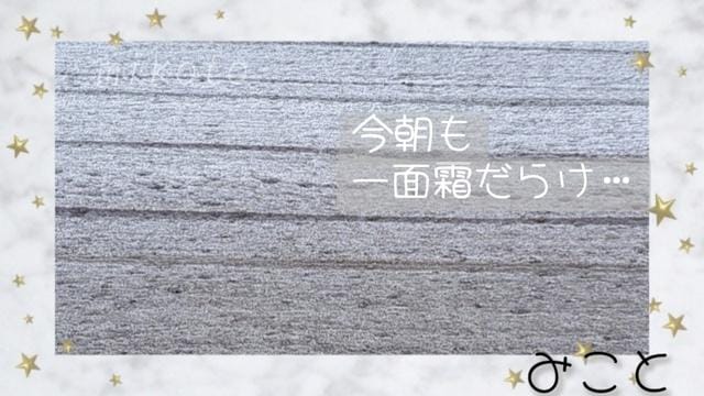 みこと|宇都宮風俗の最新写メ日記