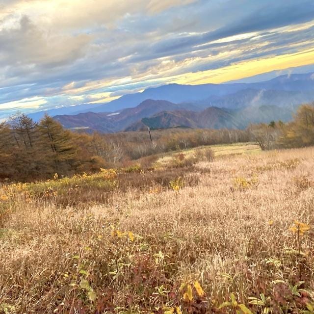 すぅ|宇都宮風俗の最新写メ日記