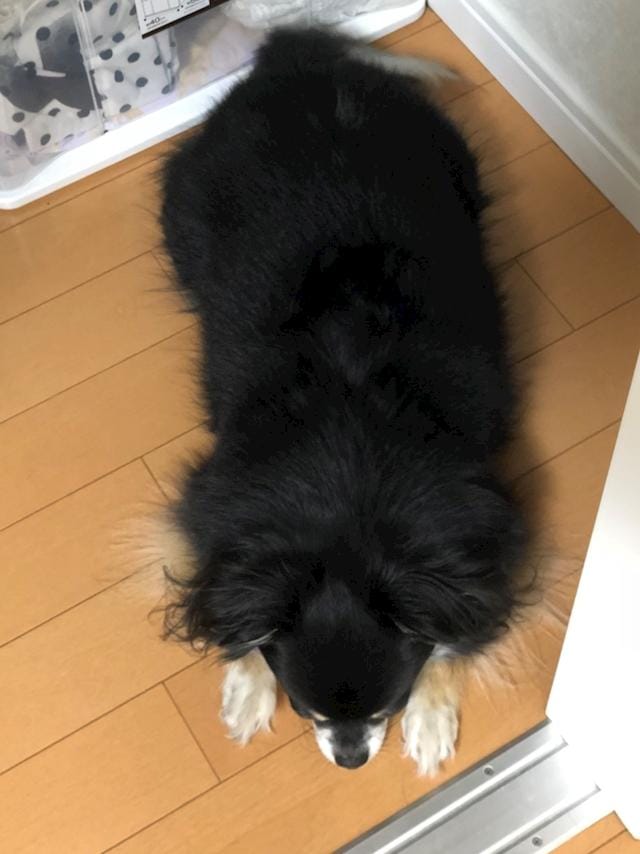 「ロコのブログ」08/21(火) 11:59 | ロコの写メ・風俗動画