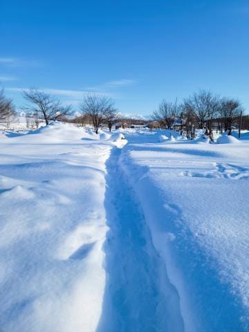 「銀世界」01/31(水) 15:42 | ゆりの写メ日記