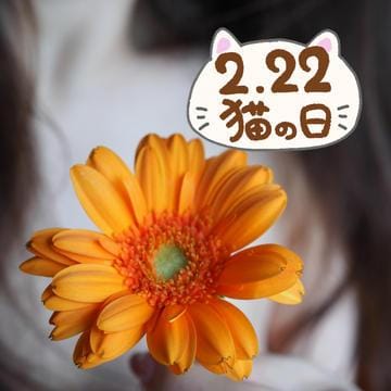「【やん猫伝説】」02/22(木) 11:01 | りお☆☆☆の写メ日記