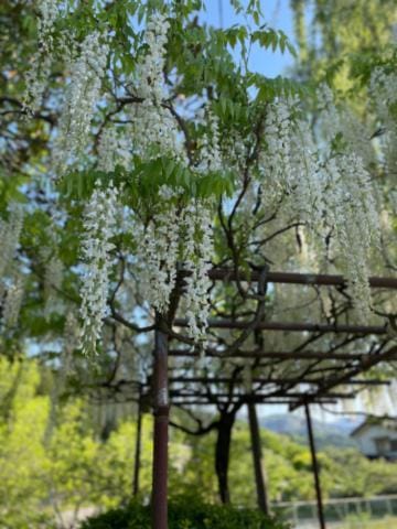 「お礼日記♡」03/25(月) 19:33 | りほの写メ日記