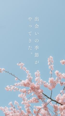 「桜」03/26(火) 10:03 | いつきの写メ