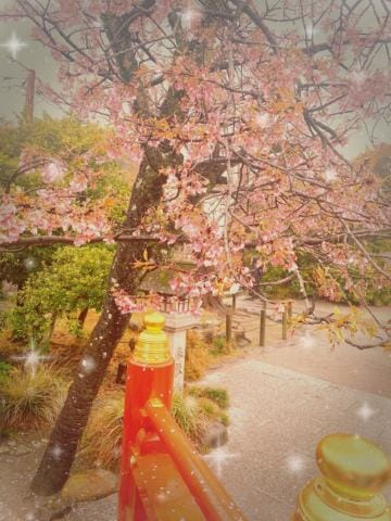 「2ヶ月ぶりに鎌倉に行ってきました」03/28(木) 18:06 | ありすの写メ
