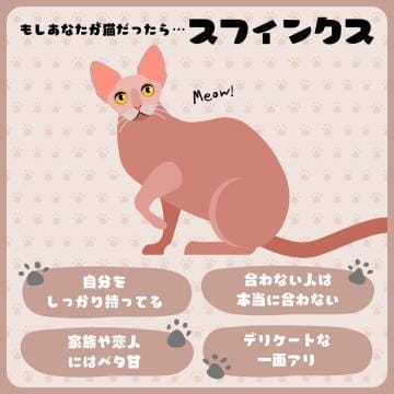 「猫ちゃん診断」03/29(金) 08:11 | フタバ秘書の写メ