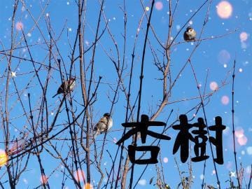 「姫休暇入ってます(* ᴗ͈ˬᴗ͈)”」03/29(金) 13:21 | 杏樹-あんじゅ-の写メ