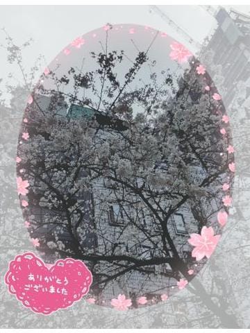 「先月の感謝＆出勤」04/01(月) 18:50 | 西川（にしかわ）の写メ日記