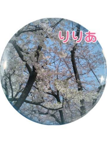 「桜」04/02(火) 11:53 | 森下りりあの写メ日記