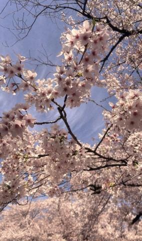 「おはよう」04/03(水) 09:17 | みく　弾ける笑顔に溢れる情熱の写メ日記