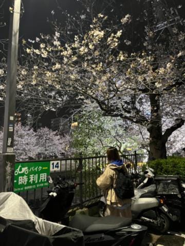 「夜桜✨」04/06(土) 20:03 | ふうか(セクシービューティー)の写メ日記