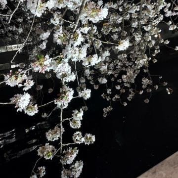 「桜も見頃ですね」04/06(土) 23:59 | 由紀の写メ日記