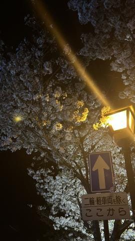 「桜の季節ですね」04/07(日) 20:33 | なつせの写メ日記