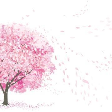 「桜がすごく綺麗な日♪ .*」04/08(月) 11:02 | ららの写メ日記