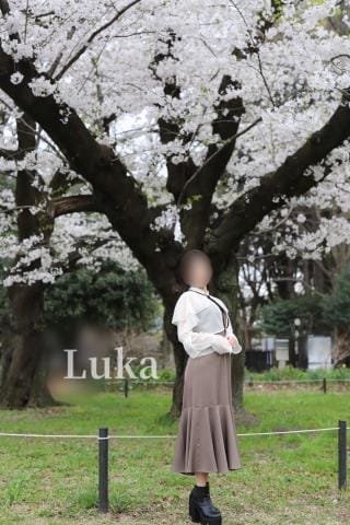 「桜」04/08(月) 16:10 | ルカの写メ日記