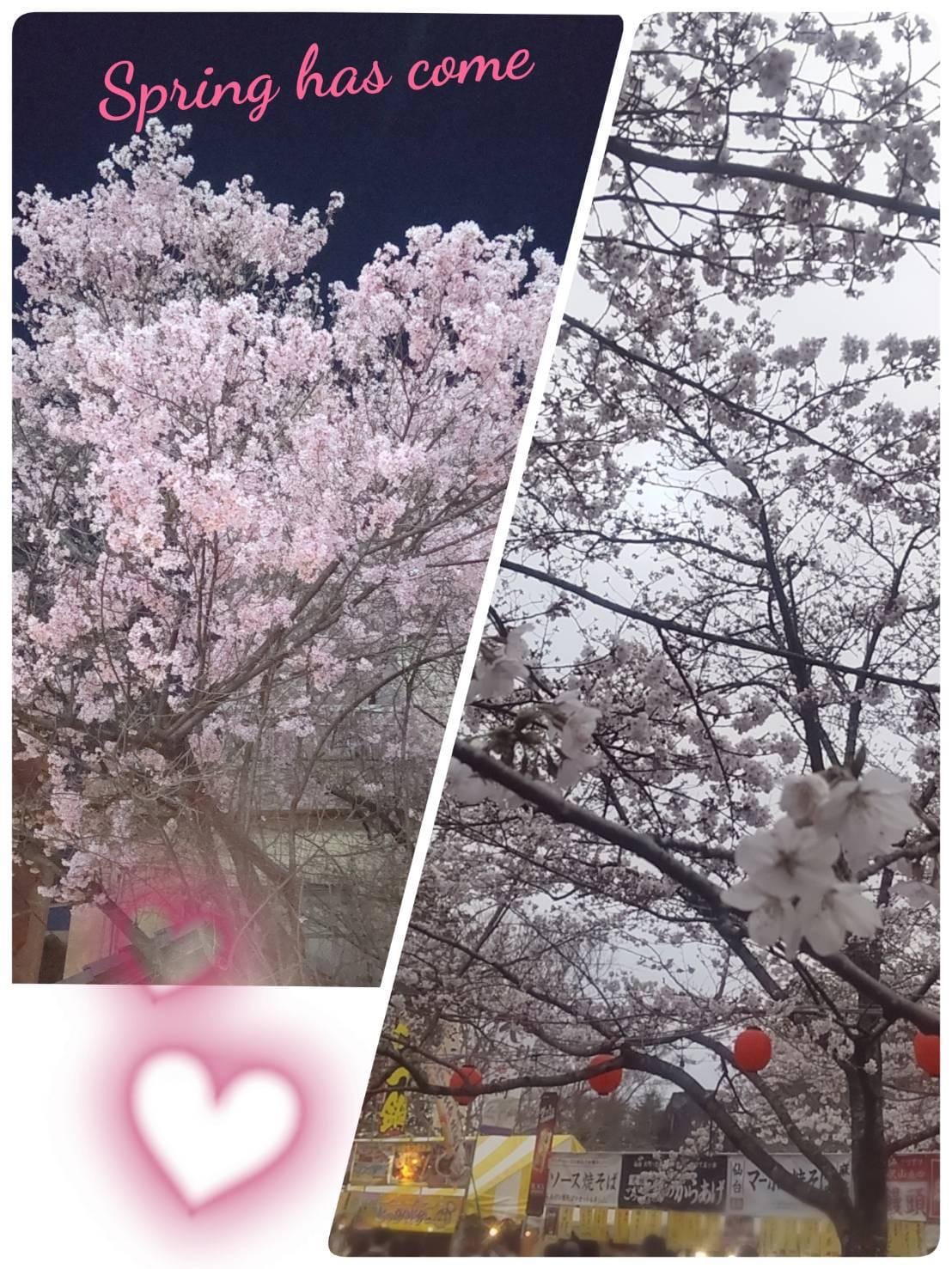 「桜祭り」04/08(月) 20:56 | ひとみの写メ日記