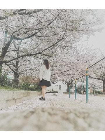 「桜」04/09(火) 15:07 | みぃの写メ日記