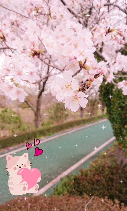「☆リンリンロードの桜☆」04/09(火) 22:14 | りょうこの写メ日記