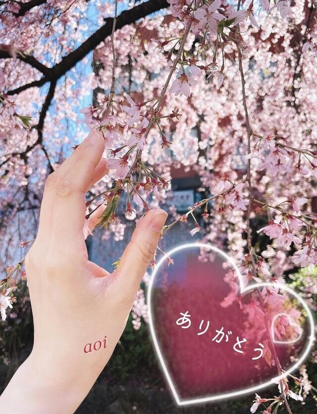 「桜とお礼」04/11(木) 18:10 | あおいの写メ日記