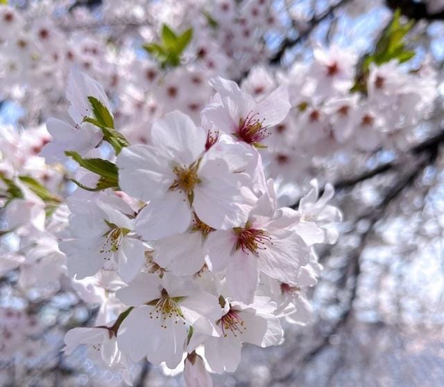 「お知らせです」04/12(金) 13:48 | るなの写メ日記