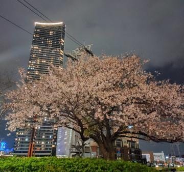 「またね♡」04/14(日) 18:04 | ゆうりの写メ日記