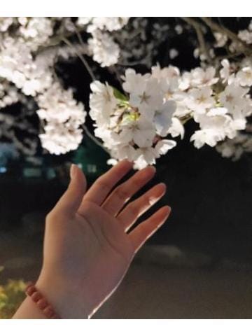 「桜の時期に」04/16(火) 01:38 | さやかの写メ日記