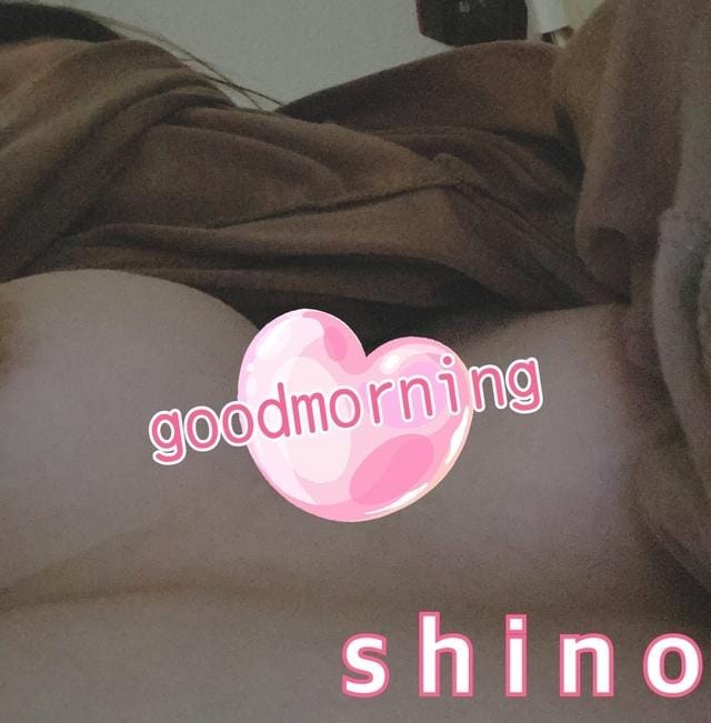 「goodmorning」04/17(水) 07:32 | しのの写メ日記