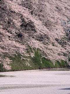 「桜？吹雪？？」04/17(水) 15:33 | あやかの写メ