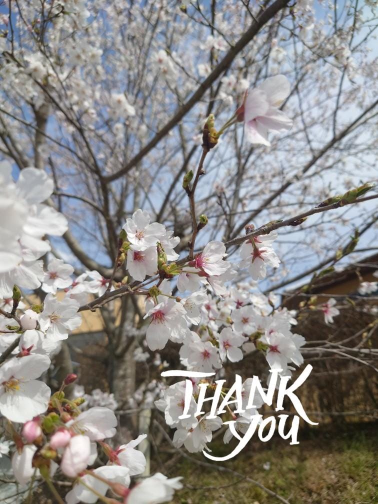 「ありがとう♡」04/18(木) 20:35 | リカコの写メ日記