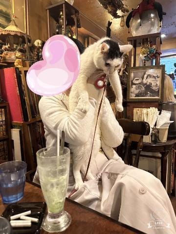 「猫さまがいるカフェ」04/18(木) 22:39 | あやの写メ日記