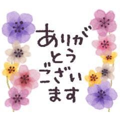 「お礼」04/19(金) 06:41 | 長澤☆マダム☆の写メ
