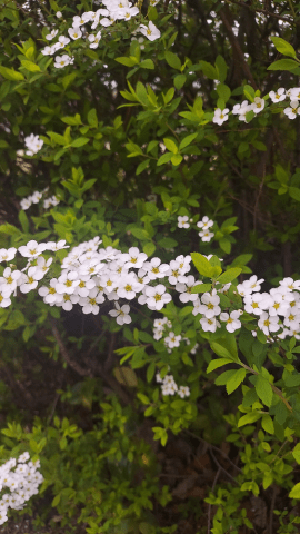 「出勤(⌒0⌒)／」04/19(金) 18:49 | ミナミの写メ日記