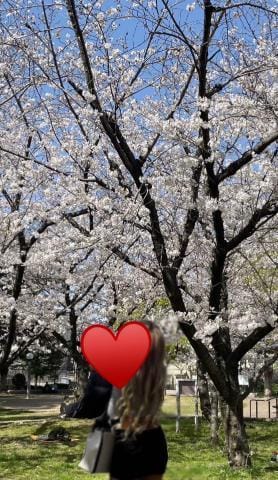 「桜舞い散る季節に君と巡り会えたら」04/19(金) 22:39 | りあんちゃんの写メ日記