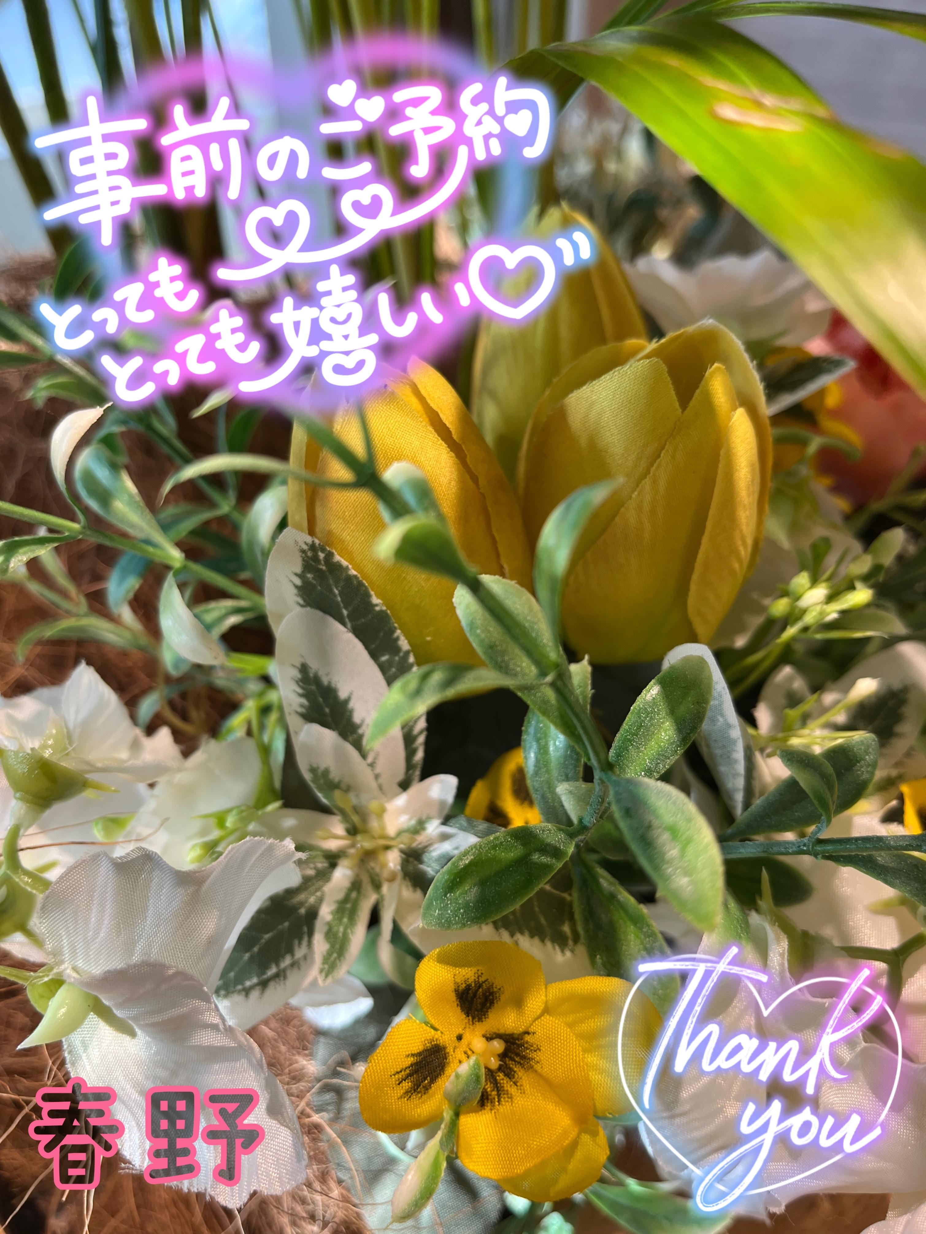 春野|大塚・巣鴨風俗の最新写メ日記