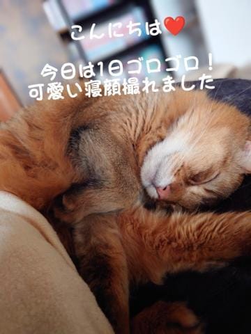 「寝顔♡」04/21(日) 17:24 | かがりの写メ日記