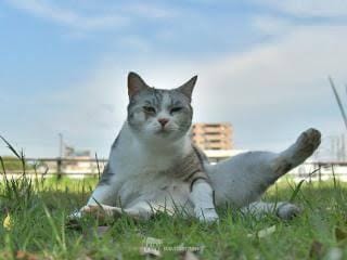 「午後から」04/24(水) 09:27 | さりな❤恋におちる♡極嬢の写メ日記