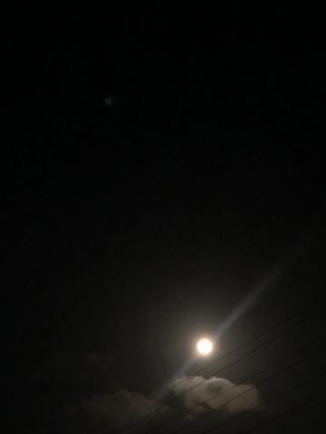 「満月」04/25(木) 00:05 | みなみの写メ