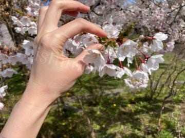 「社会でほぼ使わないもの…。」04/26(金) 15:22 | 西森かずはの写メ日記