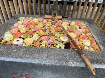 「花手水」04/26(金) 23:27 | 真田かなたの写メ