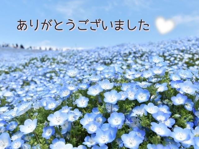 「ありがとうございました♡」04/27(土) 07:50 | あおいの写メ