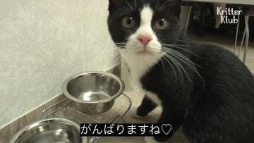 「出勤しました♡」04/27(土) 12:08 | 【れお】細身激カワの店長イチ推しの写メ