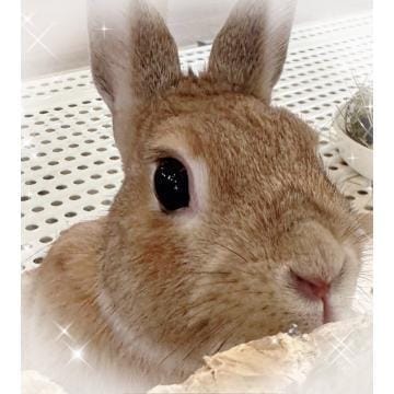 「0421 お礼」04/27(土) 15:06 | しずくの写メ日記