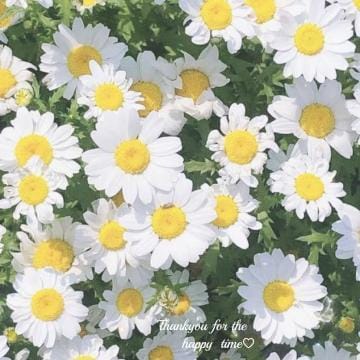 「おはよう‎」04/28(日) 10:26 | 咲花なつみの写メ