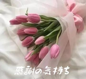 「嬉しい再会♡素敵な出逢い♡感謝です♥️」05/01(水) 00:12 | 亜希(あき)の写メ日記