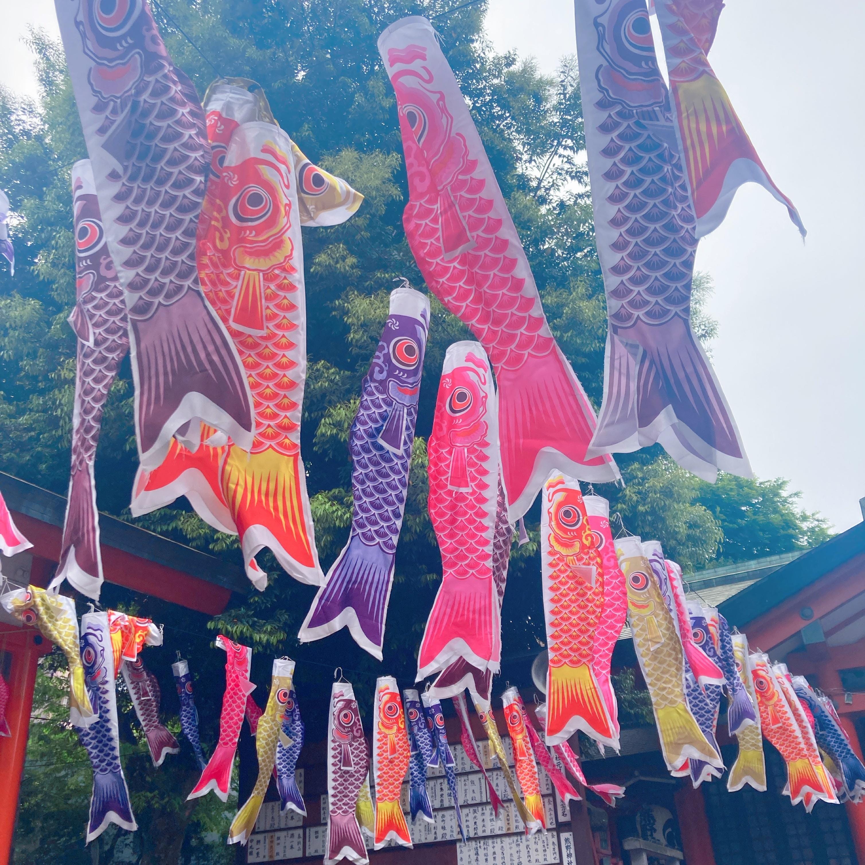 「♡鯉のぼり神社⛩️」05/05(日) 21:05 | 伊藤なおの写メ