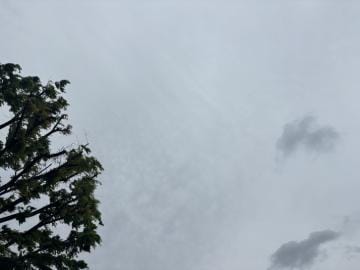 「曇り」05/06(月) 15:45 | しずかの写メ