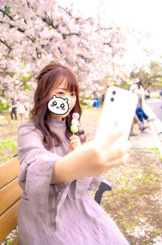 「桜の季節過ぎたら」05/10(金) 23:03 | はるかの写メ