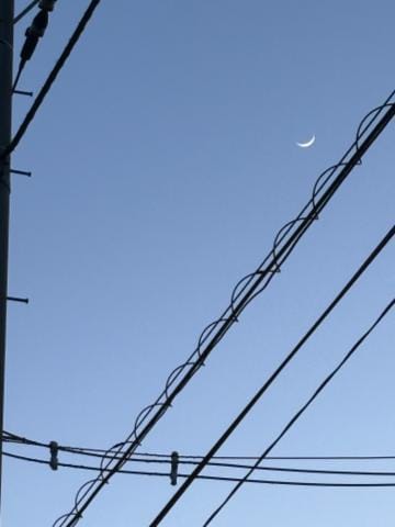 「月が綺麗ですね」05/12(日) 09:04 | みみの写メ