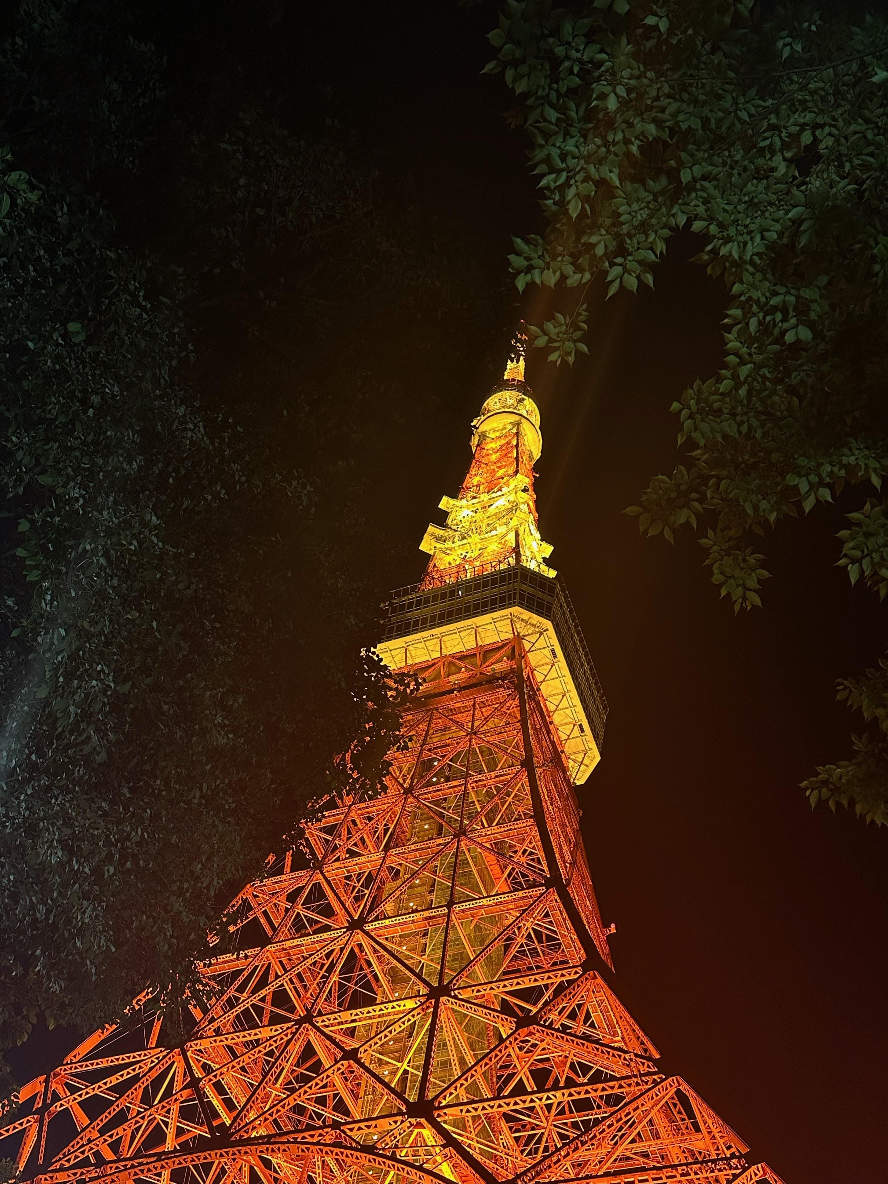 「東京タワー」05/29(水) 10:46 | ゆみの写メ日記