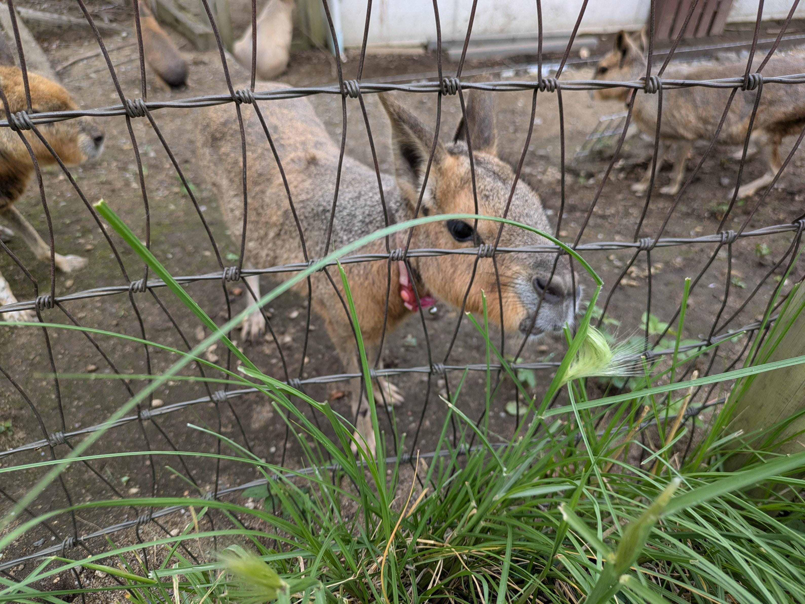 れい|小岩・新小岩ピンサロの最新写メ日記