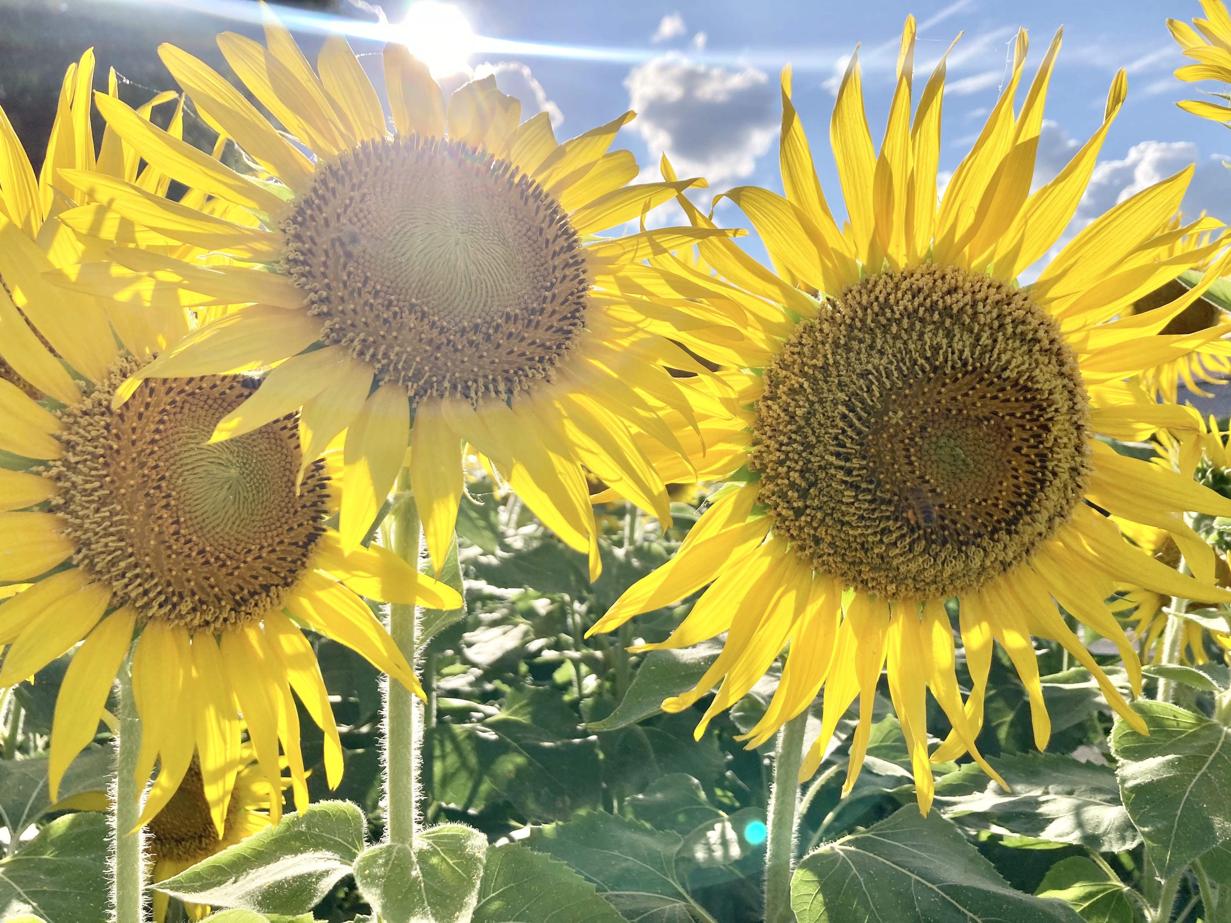 「出勤しました」07/23(火) 19:52 | 愛（あい）の写メ日記